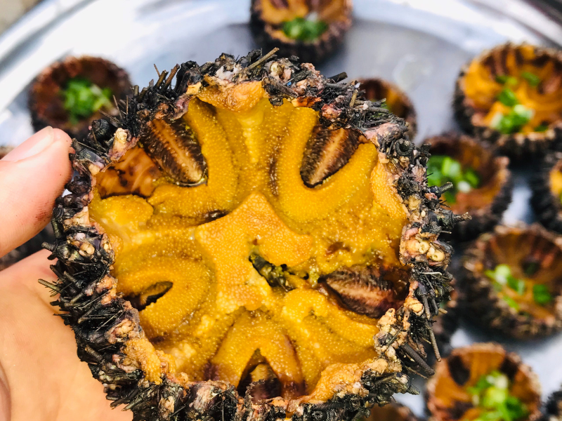 Fresh sea urchins