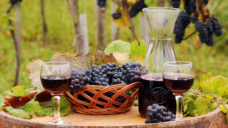 Wine tasting table with grape products