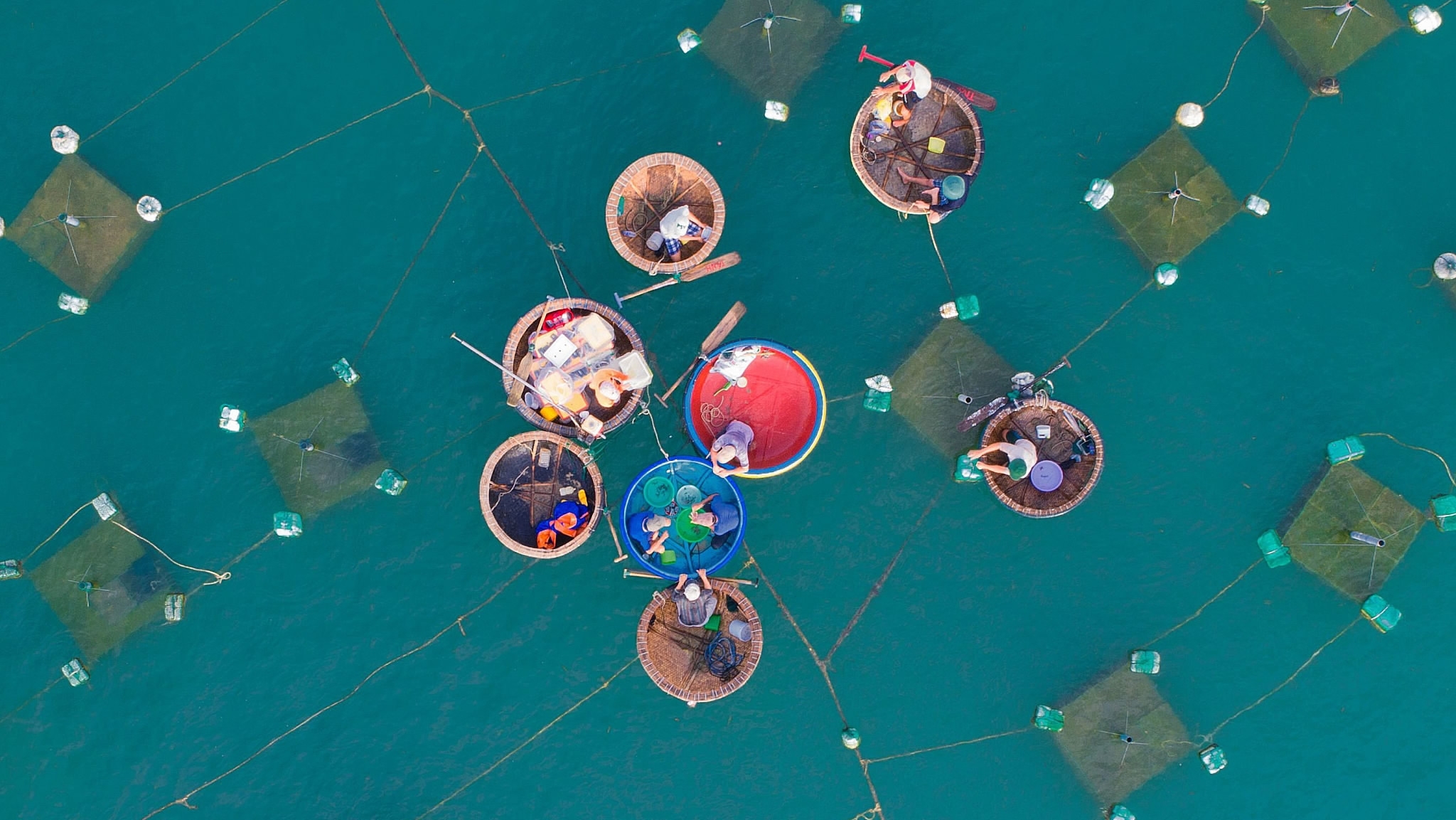 Vinh Hy lobster farming cages Ninh Thuan