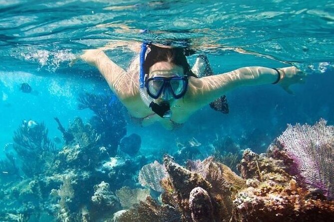 Snorkeling coral reef Vinh Hy Ninh Thuan