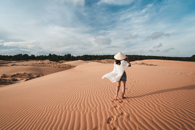 Travelers walking across dunes