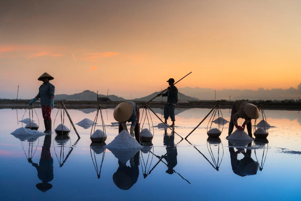 Sunrise over the salt fields with workers collecting salt