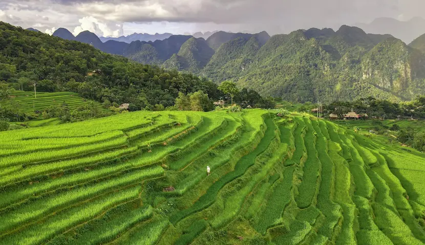 Panoramic view of Pu Luong rice terraces