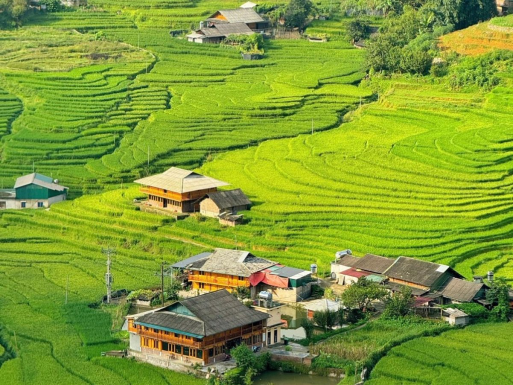 Ta Van Village rice terraces