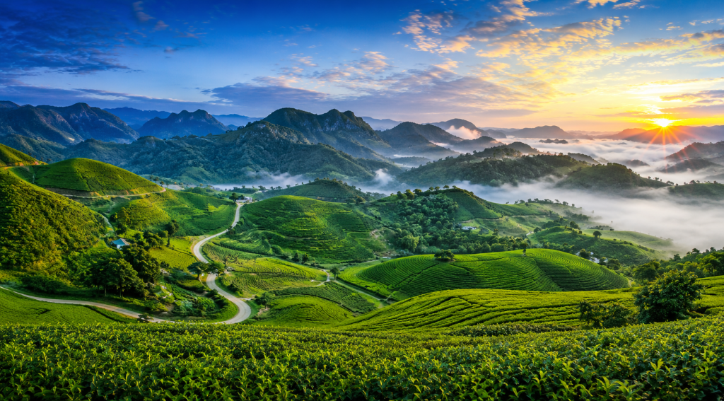 Panoramic view of Moc Chau Plateau